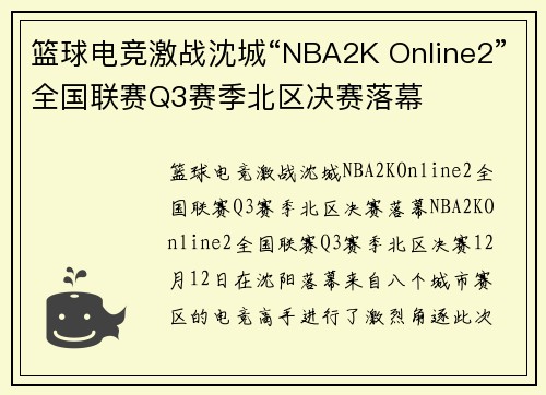 篮球电竞激战沈城“NBA2K Online2”全国联赛Q3赛季北区决赛落幕